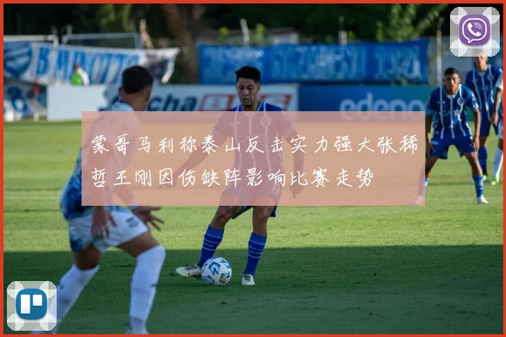 蒙哥马利称泰山反击实力强大张稀哲王刚因伤缺阵影响比赛走势
